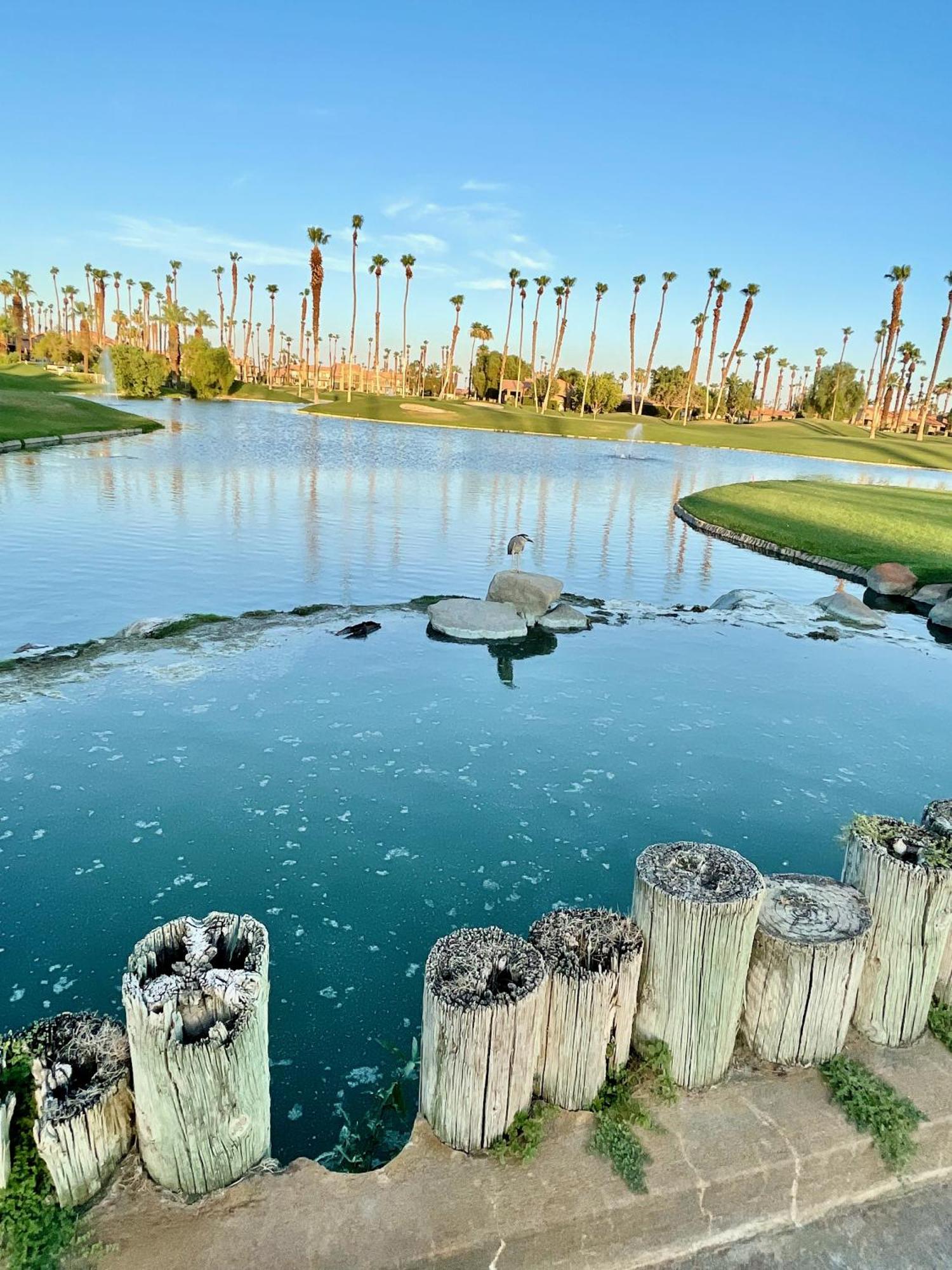 The View! Palm Desert Country Club Villa Exteriér fotografie