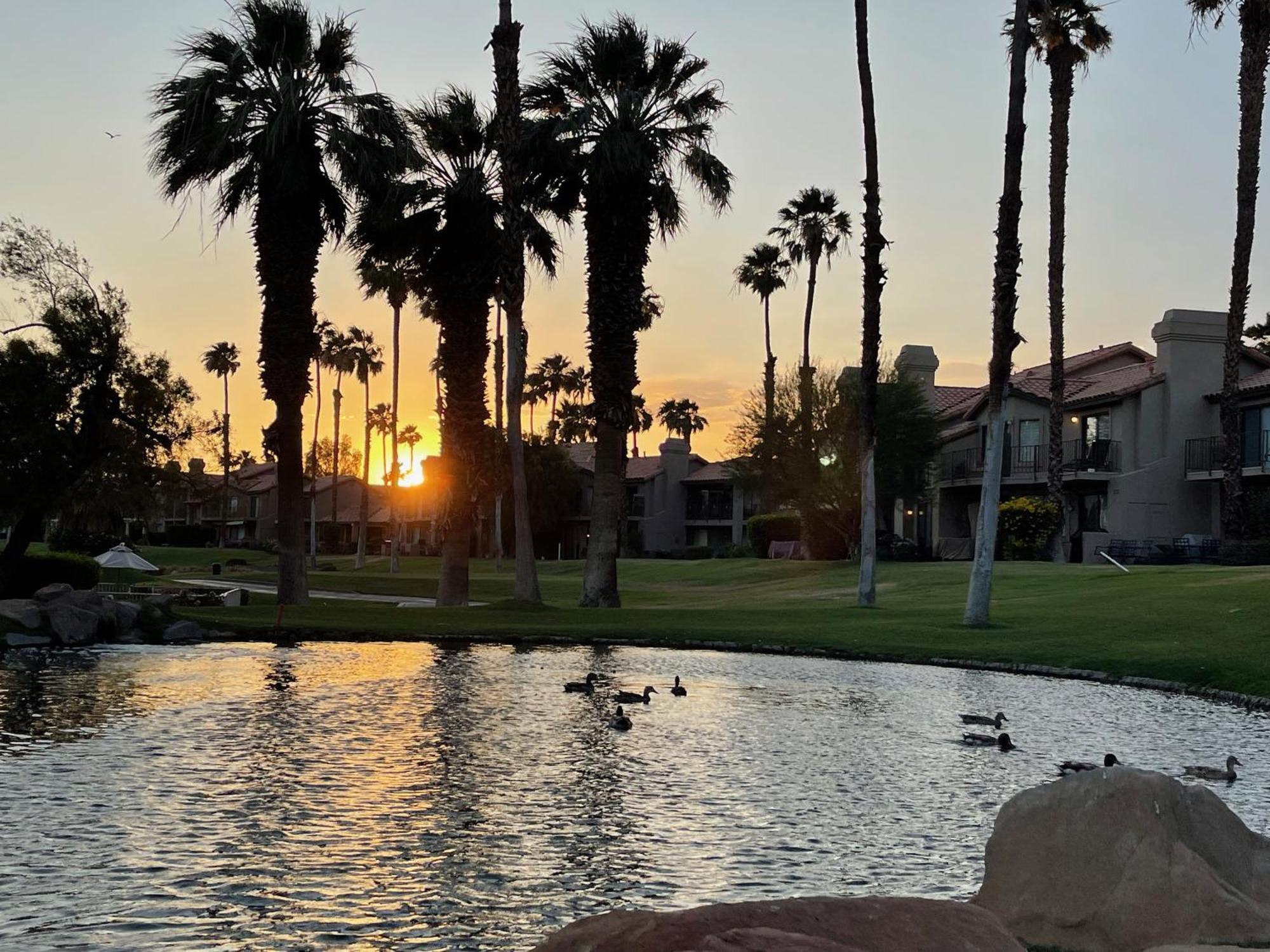The View! Palm Desert Country Club Villa Exteriér fotografie